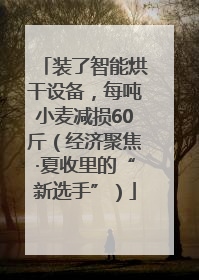 装了智能烘干设备，每吨小麦减损60斤（经济聚焦·夏收里的“新选手”）