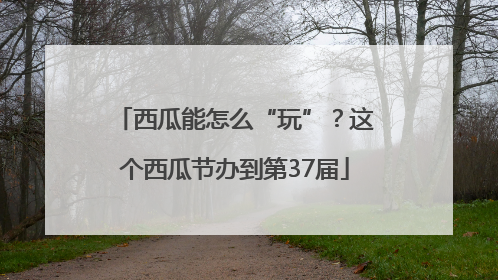 西瓜能怎么“玩”？这个西瓜节办到第37届