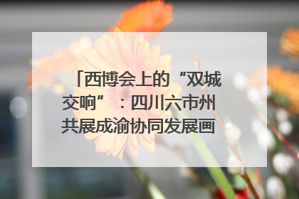 西博会上的“双城交响”：四川六市州共展成渝协同发展画卷｜西博视界