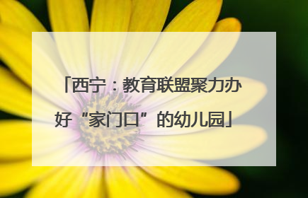 西宁：教育联盟聚力办好“家门口”的幼儿园