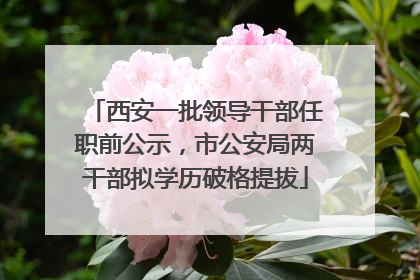 西安一批领导干部任职前公示，市公安局两干部拟学历破格提拔