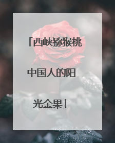 西峡猕猴桃 中国人的阳光金果