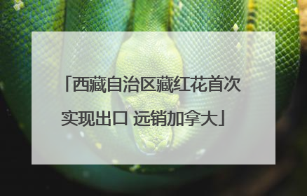 西藏自治区藏红花首次实现出口 远销加拿大