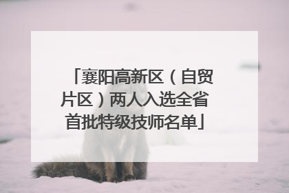 襄阳高新区（自贸片区）两人入选全省首批特级技师名单