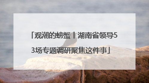 观潮的螃蟹丨湖南省领导53场专题调研聚焦这件事