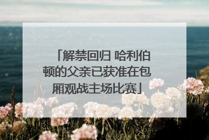 解禁回归 哈利伯顿的父亲已获准在包厢观战主场比赛