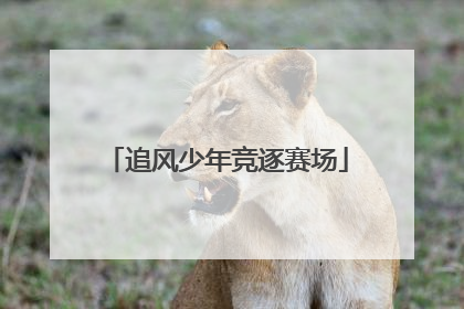 追风少年竞逐赛场