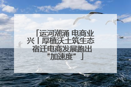 运河潮涌 电商业兴丨厚植沃土筑生态 宿迁电商发展跑出“加速度”