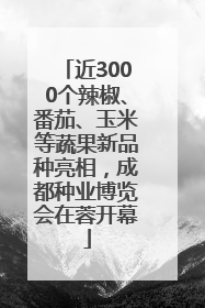 近3000个辣椒、番茄、玉米等蔬果新品种亮相，成都种业博览会在蓉开幕