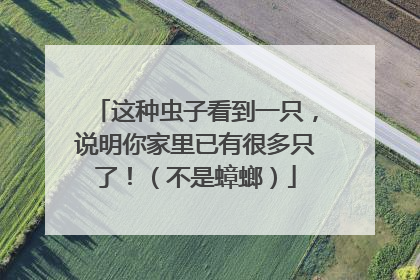 这种虫子看到一只，说明你家里已有很多只了！（不是蟑螂）