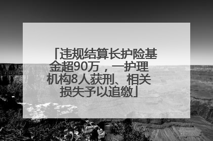 违规结算长护险基金超90万，一护理机构8人获刑、相关损失予以追缴