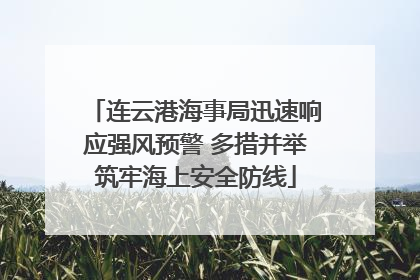 连云港海事局迅速响应强风预警 多措并举筑牢海上安全防线