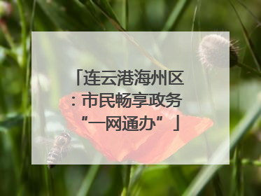 连云港海州区：市民畅享政务“一网通办”