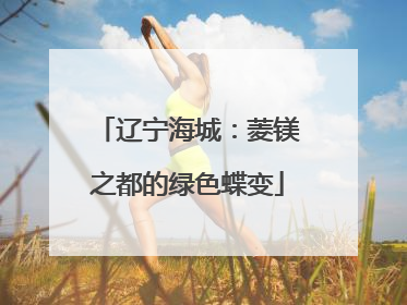 辽宁海城：菱镁之都的绿色蝶变