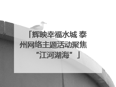 辉映幸福水城 泰州网络主题活动聚焦“江河湖海”