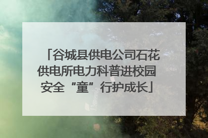 谷城县供电公司石花供电所电力科普进校园安全“童”行护成长