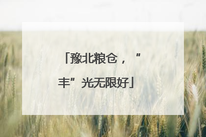 豫北粮仓，“丰”光无限好