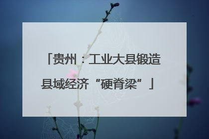 贵州：工业大县锻造县域经济“硬脊梁”
