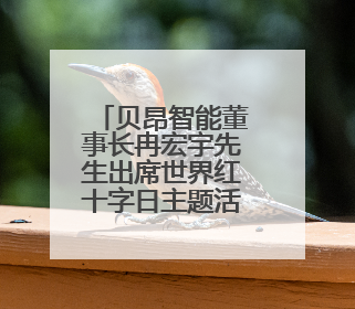 贝昂智能董事长冉宏宇先生出席世界红十字日主题活动