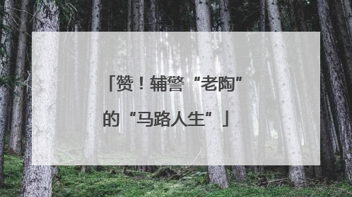 赞！辅警“老陶”的“马路人生”