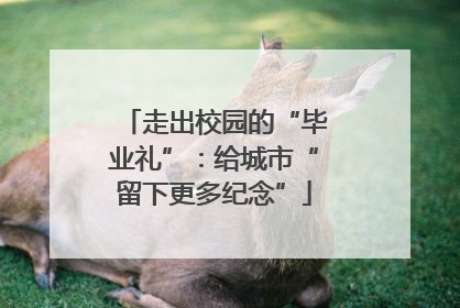 走出校园的“毕业礼”：给城市“留下更多纪念”