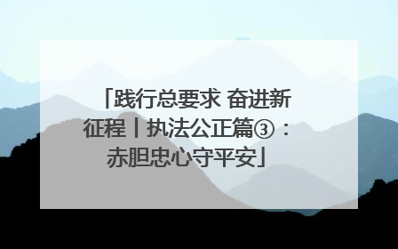 践行总要求 奋进新征程丨执法公正篇③：赤胆忠心守平安