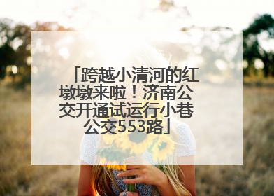 跨越小清河的红墩墩来啦！济南公交开通试运行小巷公交553路
