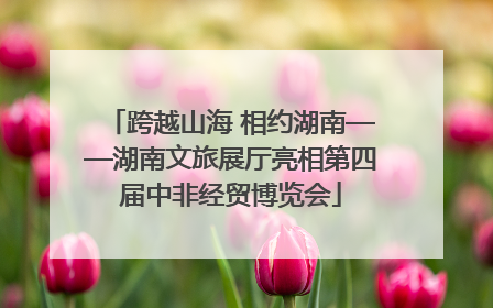 跨越山海 相约湖南——湖南文旅展厅亮相第四届中非经贸博览会