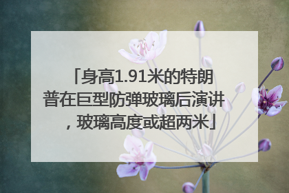 身高1.91米的特朗普在巨型防弹玻璃后演讲，玻璃高度或超两米