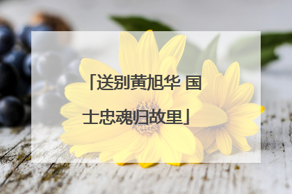 送别黄旭华 国士忠魂归故里