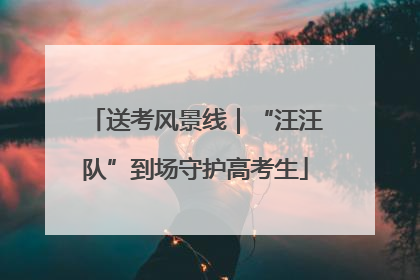 送考风景线｜“汪汪队”到场守护高考生