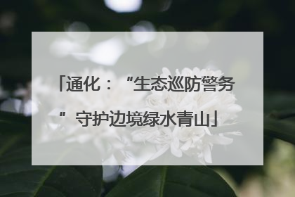 通化：“生态巡防警务”守护边境绿水青山
