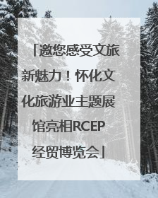 邀您感受文旅新魅力！怀化文化旅游业主题展馆亮相RCEP经贸博览会