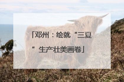 邓州：绘就“三夏”生产壮美画卷