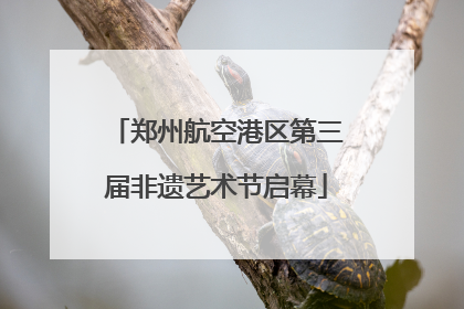 郑州航空港区第三届非遗艺术节启幕