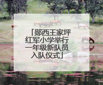 郧西王家坪红军小学举行一年级新队员入队仪式