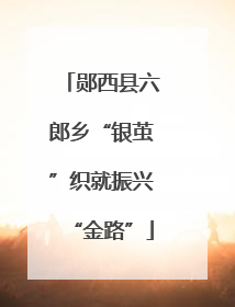 郧西县六郎乡“银茧”织就振兴“金路”