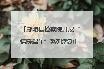 鄢陵县检察院开展“情暖端午”系列活动