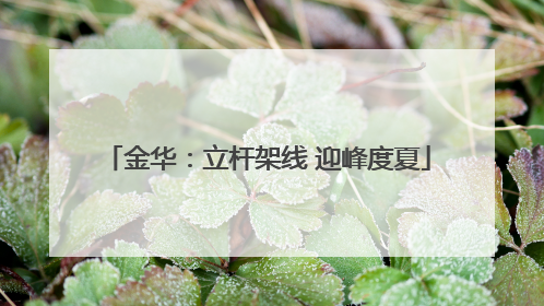金华：立杆架线 迎峰度夏