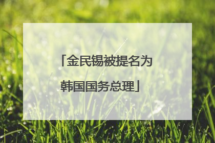 金民锡被提名为韩国国务总理