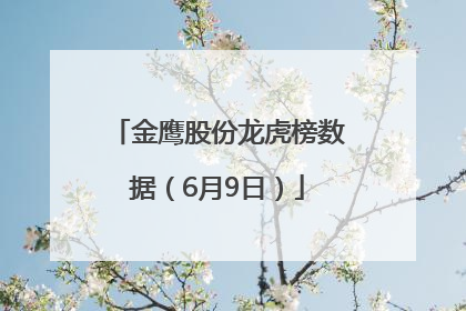 金鹰股份龙虎榜数据（6月9日）