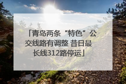 青岛两条“特色”公交线路有调整 昔日最长线312路停运