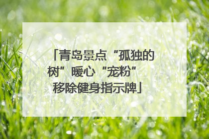 青岛景点“孤独的树”暖心“宠粉” 移除健身指示牌