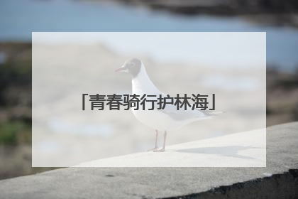 青春骑行护林海