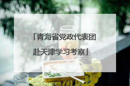 青海省党政代表团赴天津学习考察
