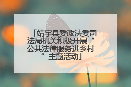 靖宇县委政法委司法局机关积极开展“公共法律服务进乡村”主题活动