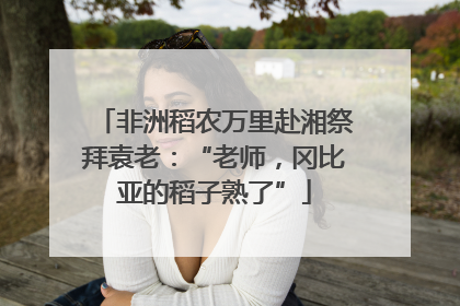 非洲稻农万里赴湘祭拜袁老：“老师，冈比亚的稻子熟了”