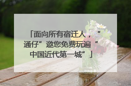 面向所有宿迁人，“通仔”邀您免费玩遍“中国近代第一城”