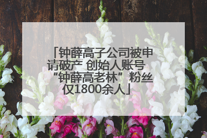 钟薛高子公司被申请破产 创始人账号“钟薛高老林”粉丝仅1800余人