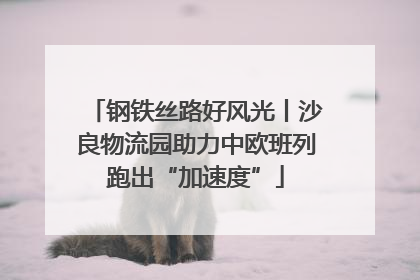钢铁丝路好风光丨沙良物流园助力中欧班列跑出“加速度”